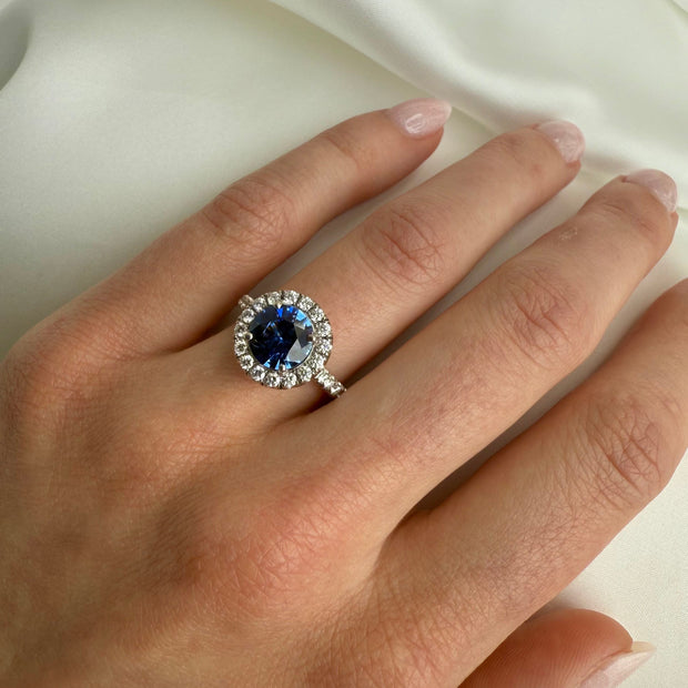 Classic sapphire and diamond halo ring in white gold, photographed on a model's hand.