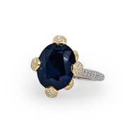 An oval cut sapphire ring with round brilliant cut diamonds pave and micropave set in 18 karat yellow gold and platinum.