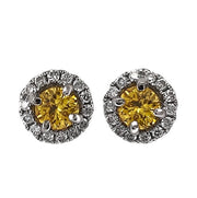 A pair of 18 karat white gold diamond halo stud earrings with fancy yellow round brilliant cut diamonds.